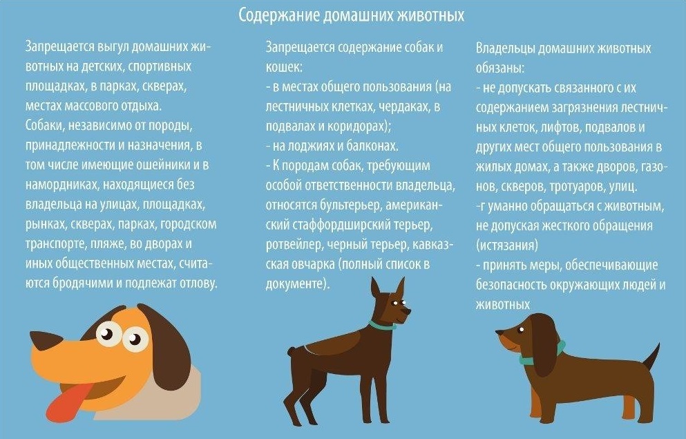 Правила содержания домашних животных