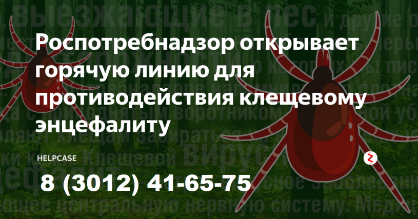 «Горячая линия» по вопросам профилактики клещевого вирусного энцефалита в Бурятии